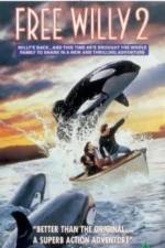 Watch Free Willy 2 The Adventure Home 9Movies