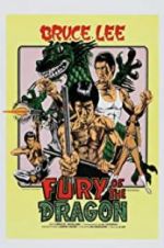 Watch Fury of the Dragon 9Movies