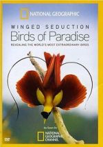 Watch Winged Seduction: Birds of Paradise 9Movies