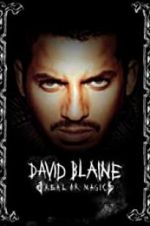 Watch David Blaine: Real or Magic 9Movies