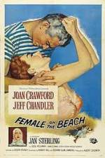 Watch Female on the Beach 9Movies