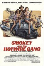 Watch Smokey and the Hotwire Gang 9Movies