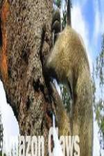 Watch National Geographic Wild Amazon Claws 9Movies