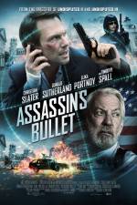 Watch Assassin's Bullet 9Movies