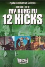 Watch Shi er tan tui 9Movies