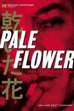 Watch Kawaita hana 9Movies