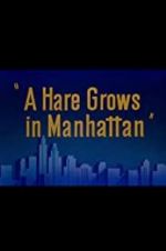 Watch A Hare Grows in Manhattan 9Movies
