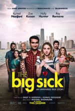 Watch The Big Sick 9Movies