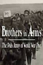 Watch Brothers in Arms: The Pals Army of World War One 9Movies