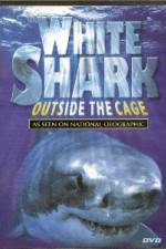 Watch National Geographic white shark:outside the cage 9Movies