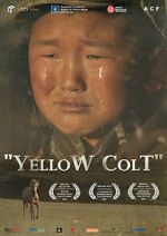 Watch Yellow Colt 9Movies