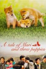 Watch Mari to koinu no monogatari 9Movies