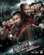 Watch WWE Survivor Series WarGames (TV Special 2024) 9Movies