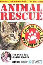 Watch Animal Rescue, Volume 2: Best Cat Rescues 9Movies