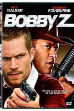 Watch The Death and Life of Bobby Z 9Movies