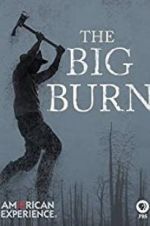 Watch American Experience: The Big Burn 9Movies
