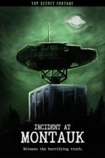 Watch Incident at Montauk 9Movies