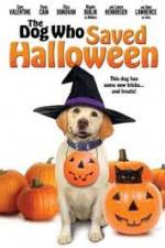 Watch The Dog Who Saved Halloween 9Movies