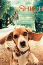 Watch Shiloh 9Movies