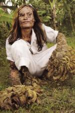 Watch Treeman Search for the Cure 9Movies