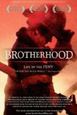 Watch Brotherhood 9Movies