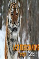 Watch Discovery Channel-Last Tiger Standing 9Movies