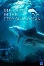 Watch Dolphins in the Deep Blue Ocean 9Movies