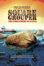 Watch Square Grouper 9Movies