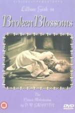 Watch Broken Blossoms or The Yellow Man and the Girl 9Movies
