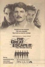 Watch The Great Escape II: The Untold Story 9Movies