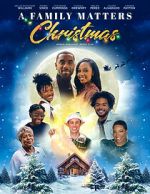 Watch A Family Matters Christmas 9Movies