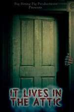 Watch It Lives in the Attic 9Movies