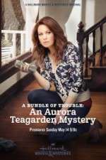Watch A Bundle of Trouble: An Aurora Teagarden Mystery 9Movies
