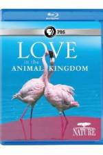 Watch Nature: Love in the Animal Kingdom 9Movies