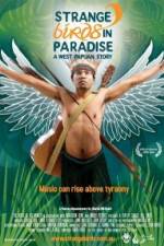 Watch Strange Birds in Paradise A West Papuan Story 9Movies