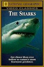 Watch National Geographic The Sharks 9Movies