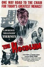 Watch The Hoodlum 9Movies