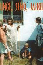 Watch Slunce, seno, jahody 9Movies