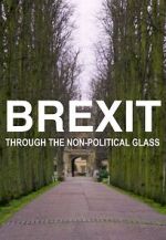 Watch Brexit Through the Non-Political Glass 9Movies