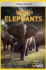 Watch War Elephants 9Movies
