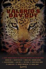 Watch Valerio\'s Day Out (Short 2019) 9Movies