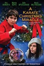 Watch A Karate Christmas Miracle 9Movies