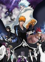 Watch Bleach the Movie 2: The Diamond Dust Rebellion 9Movies