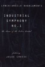 Watch Industrial Symphony No 1 The Dream of the Brokenhearted 9Movies