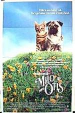 Watch Milo and Otis 9Movies
