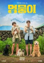 Watch My Heart Puppy 9Movies