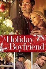 Watch A Holiday Boyfriend 9Movies