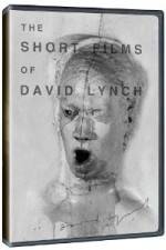 Watch The Short Films of David Lynch 9Movies