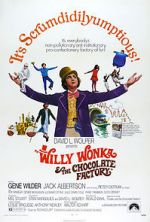 Watch Willy Wonka & the Chocolate Factory 9Movies