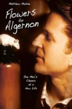 Watch Flowers for Algernon 9Movies